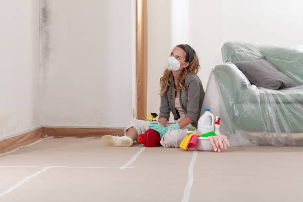 Reliable Mold Cleanup contractor in Hudson, FL by Cheap Mold Removal